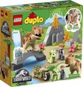 LEGO® DUPLO® T. rex and Triceratops Dinosaur Breakout back of the box
