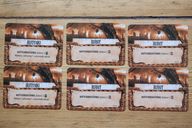 51st State: Master Set – Scavengers carte