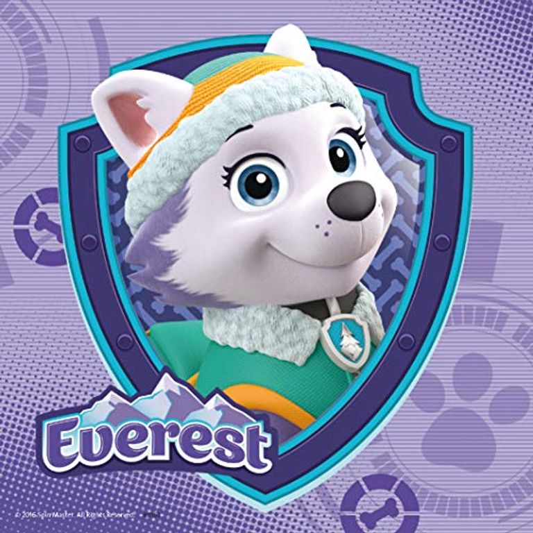 Paw Patrol Skye & Everest