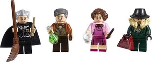 LEGO® Harry Potter™ Minifiguren set minifigures