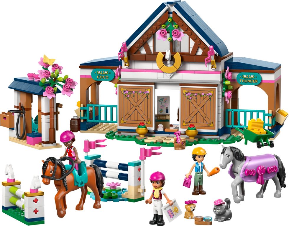 LEGO® Friends Horse Stable and Riding Academy components