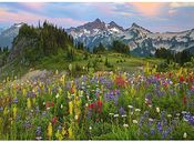 Tatoosh Mountains