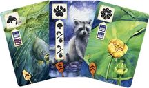 Meadow: Downstream cards