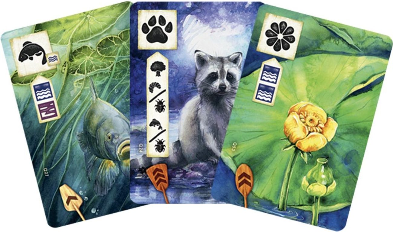 Meadow: Downstream cards