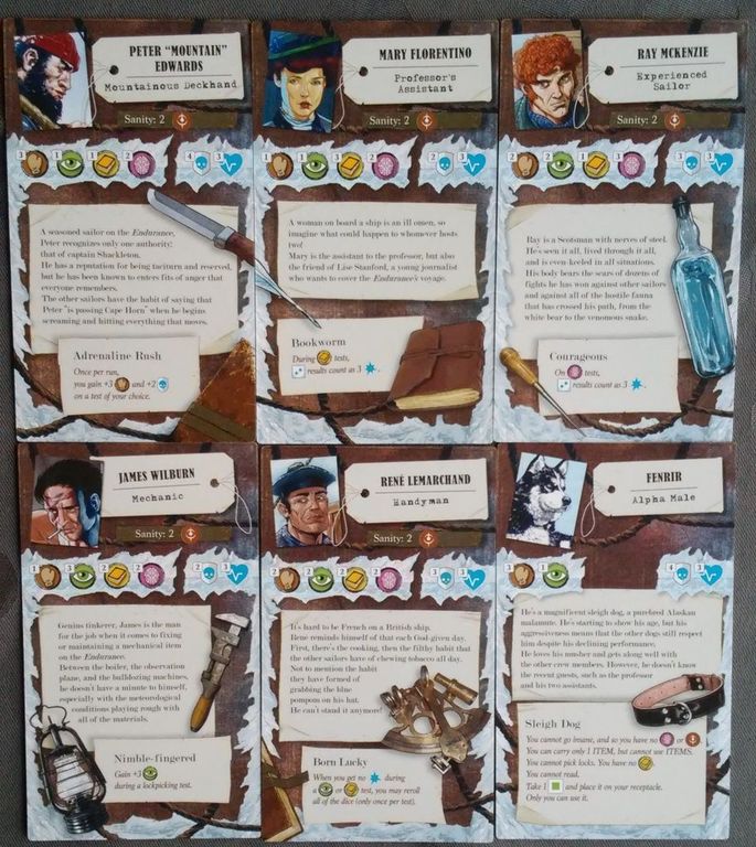 T.I.M.E Stories: Spedizione Endurance carte