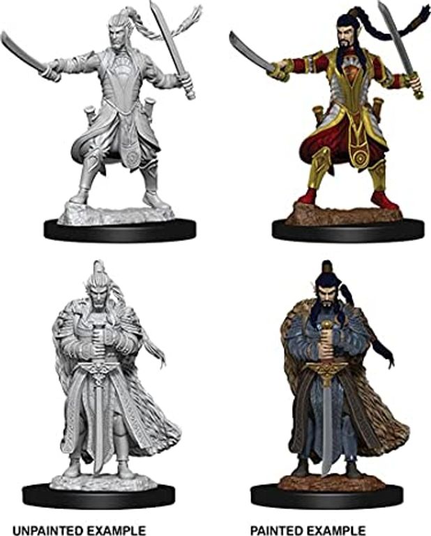 D&D Nolzur's Marvelous Miniatures - Male Elf Paladin miniaturas