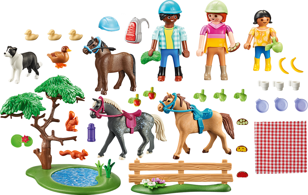 Playmobil® Country Picnic Adventure with Horses components