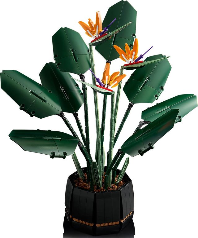 LEGO® Botanicals L’oiseau de paradis composants