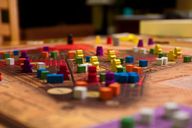 Tammany Hall componenten