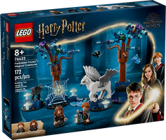 LEGO® Harry Potter™ Bosque Prohibido: Criaturas Mágicas