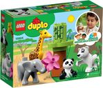 LEGO® DUPLO® Les bébés animaux dos de la boîte