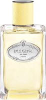 Prada Infusion De Mimosa Eau de parfum