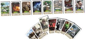 Timeline: Diversity cards