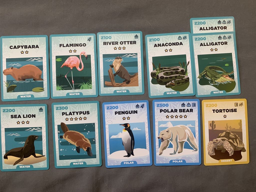 Zoo King cards