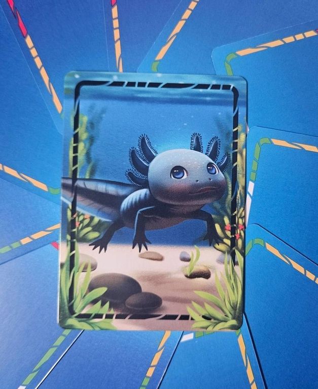 A Lotta Axolotls carta