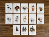 Winterhaven Woods cards