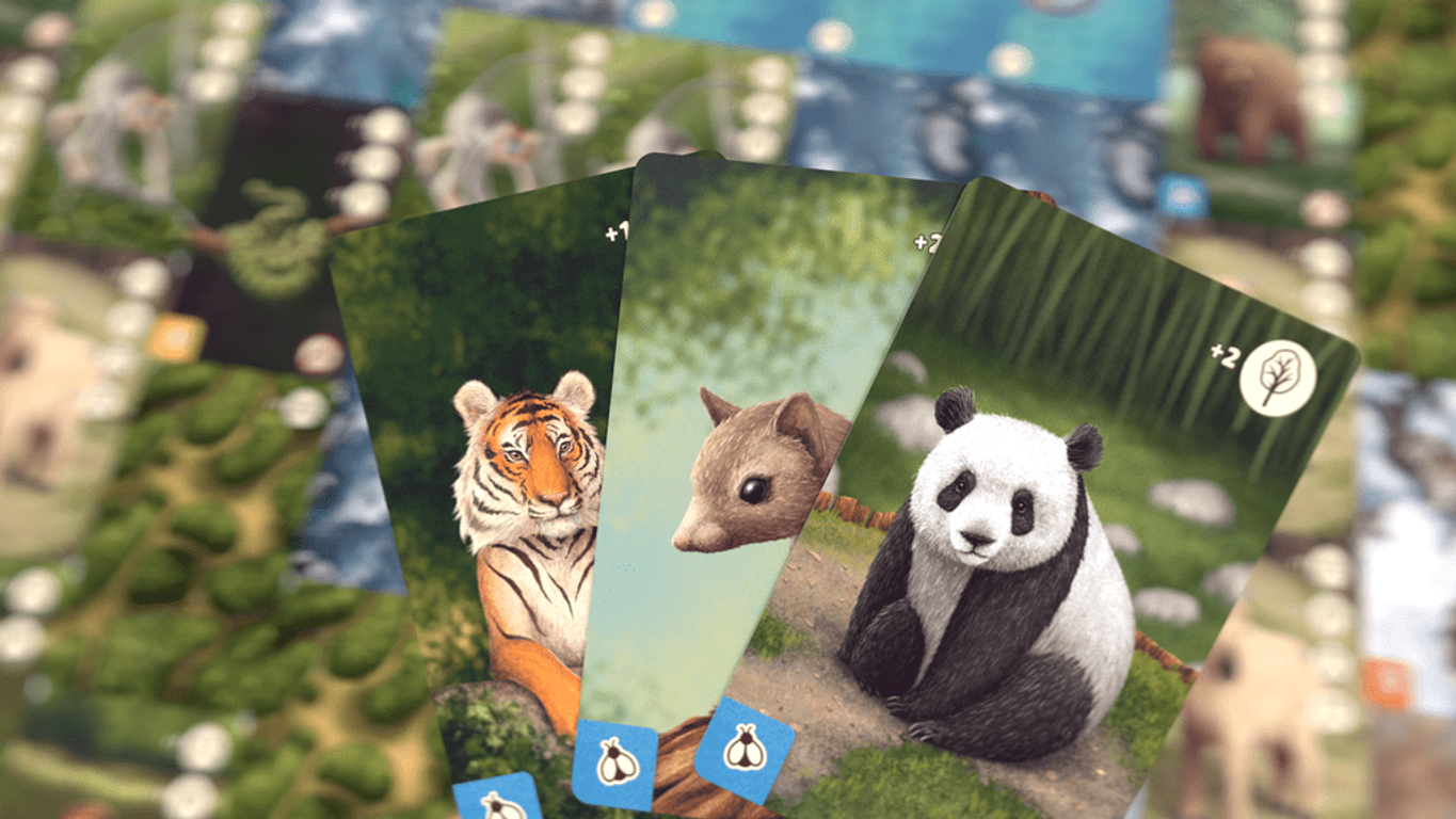 PANDA cartas