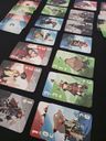 Hidden Leaders Duel cartes