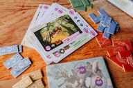 Cryptic Nature: Inseln komponenten