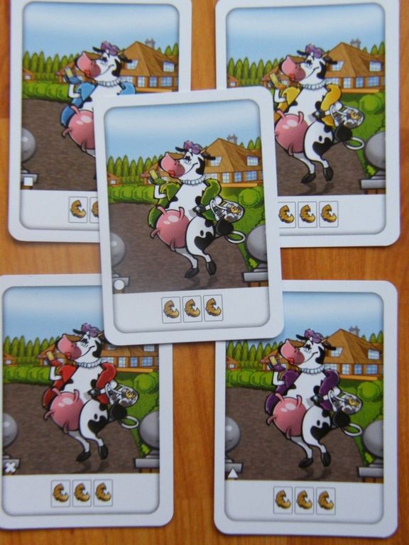 Trendy Cows cards