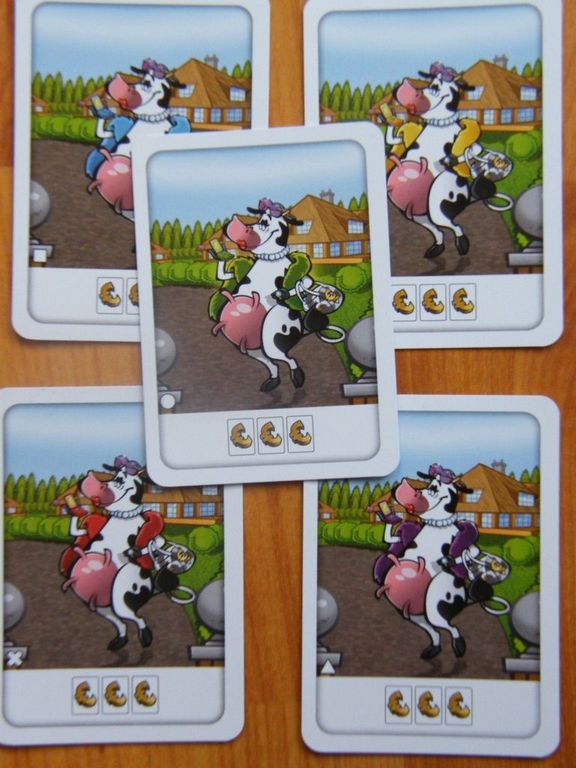 Trendy Cows carte