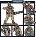 Warhammer 40,000 - Astra Militarum: Cadian Shock Troops (2023 Edition) miniatures