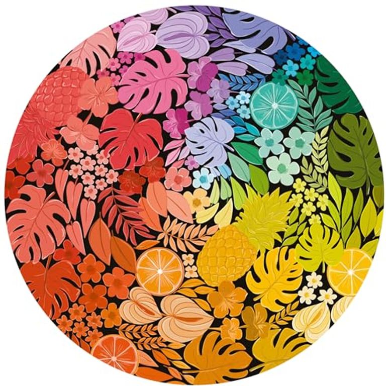 Circle of Colors: Tropical