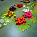 Waggle Dance speelwijze