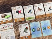 Wingspan Pocket cards
