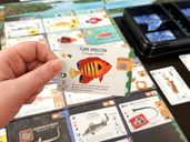 Finspan: Sharks & Reefs cards