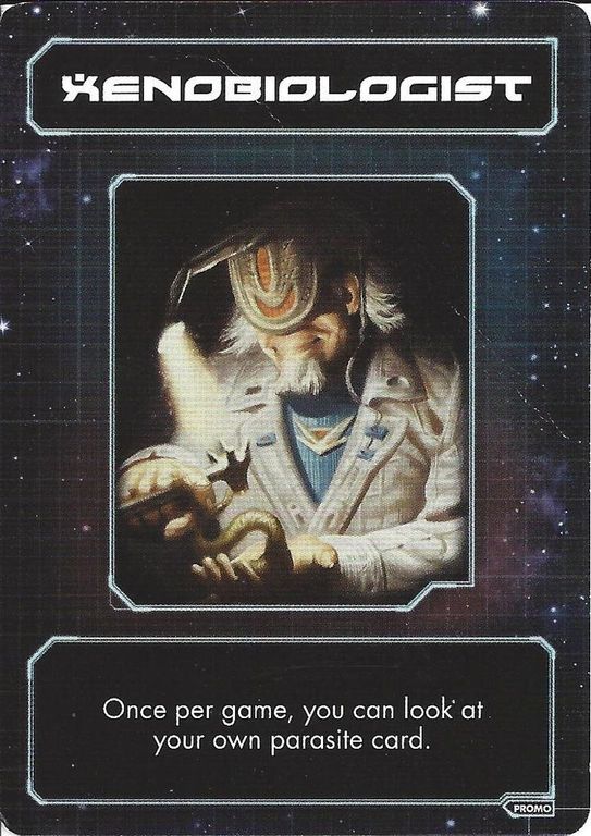 Burke's Gambit cards