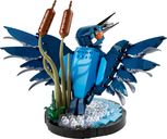 LEGO® Icons Kingfisher Bird back side