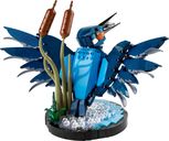 LEGO® Icons Eisvogel rückseite