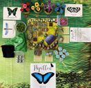 Papillon: Beyond the Meadow components