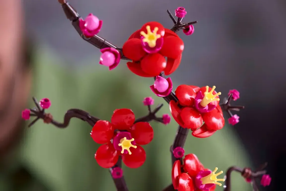 Flor de Ciruelo