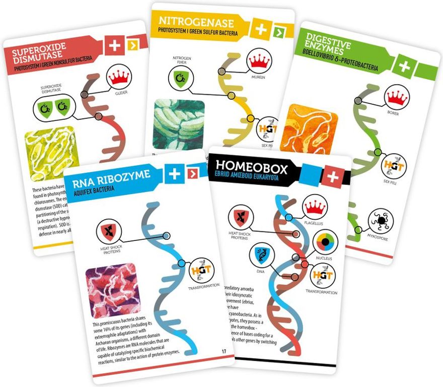 Bios: Genesis cards