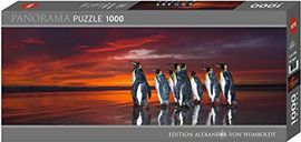 Panorama Penguins