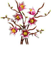 LEGO® Botanicals Branches de magnolia