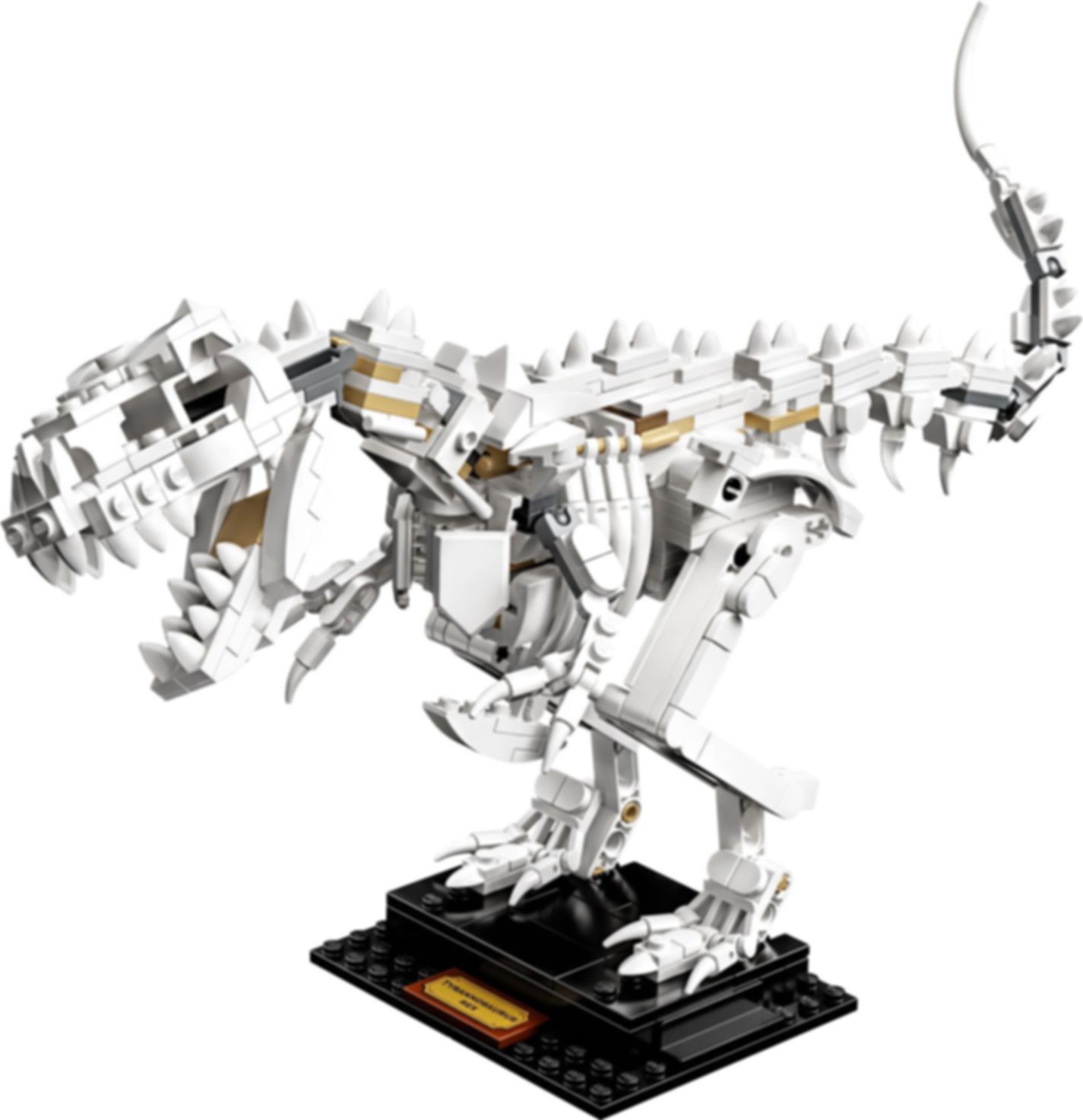 LEGO® Ideas Les fossiles de dinosaures composants