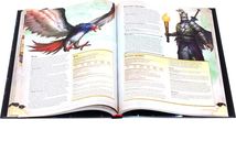 Dungeons & Dragons: Monster Manual manual