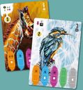 Coexist cards