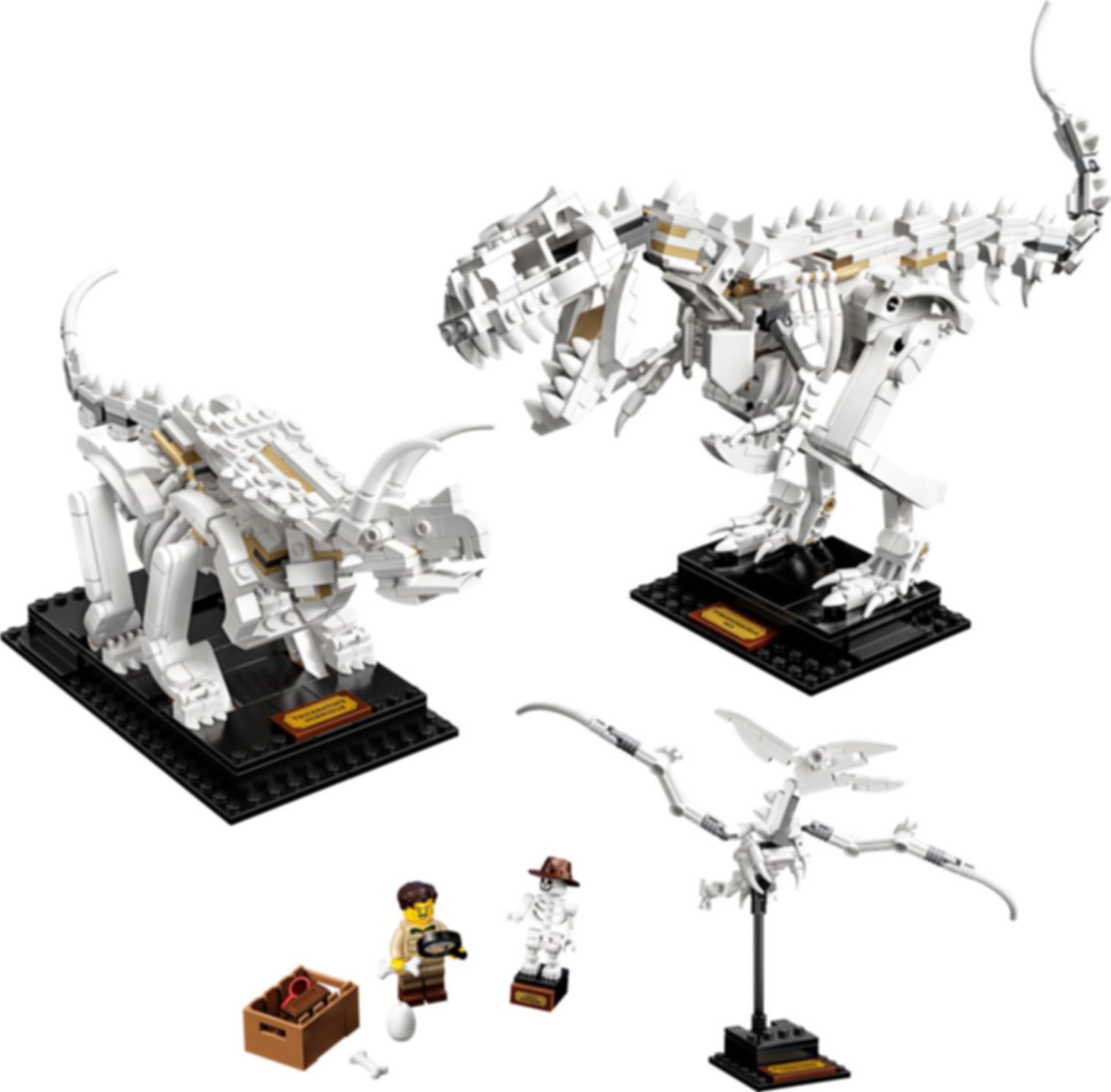 LEGO® Ideas Les fossiles de dinosaures composants