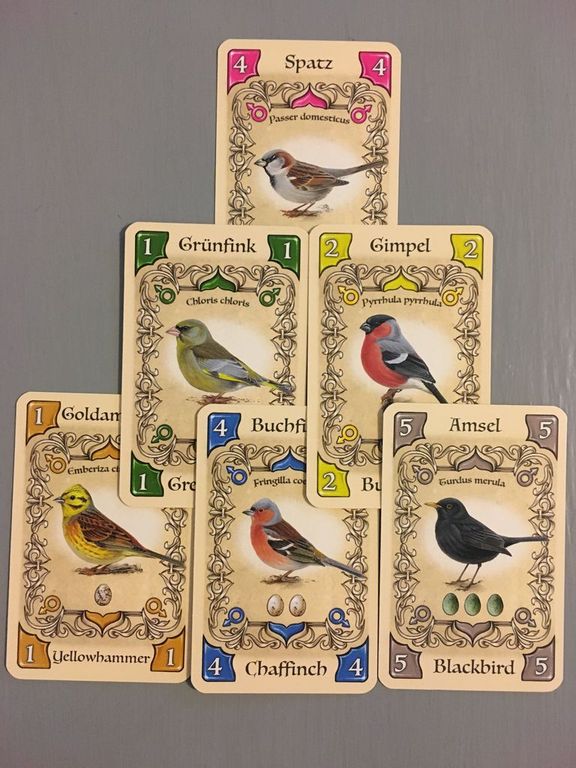 Pájaros cantores cartas