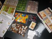 Caverna: The Cave Farmers components