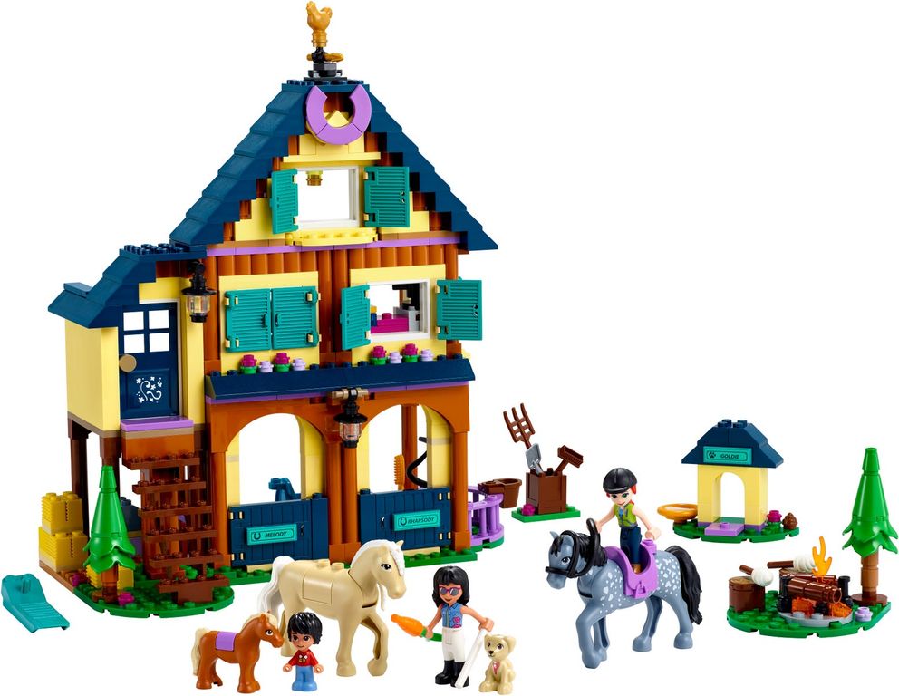LEGO® Friends Forest Horseback Riding Center components