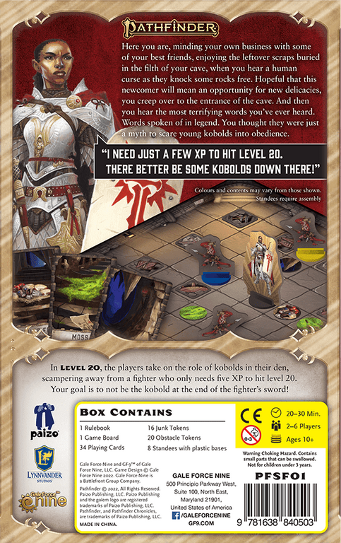 Pathfinder: Level 20 back of the box