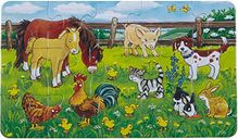 Farm animals in the meadow