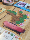 Bonsai spielablauf