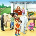 3 puzzels - Een dag op de paardenstal