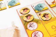 Mission Savane components